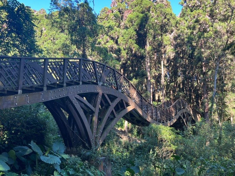 溪頭國家森林遊樂區